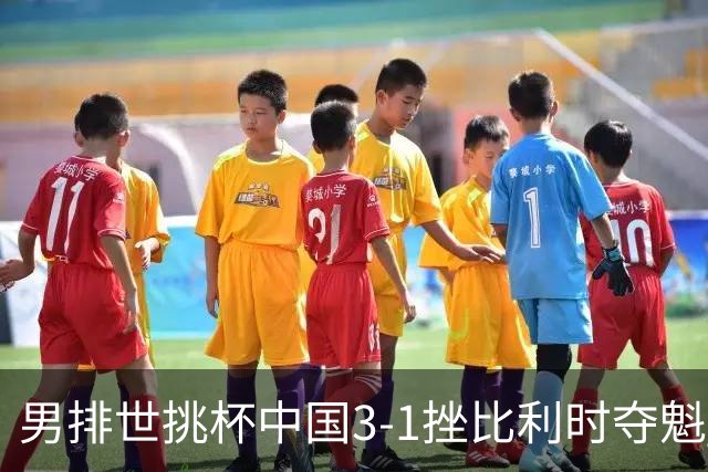男排世挑杯中国3-1挫比利时夺魁 进军2025世联赛